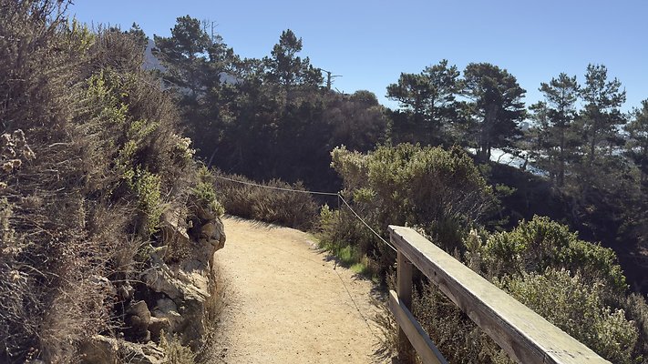 China Cove - Point Lobos
