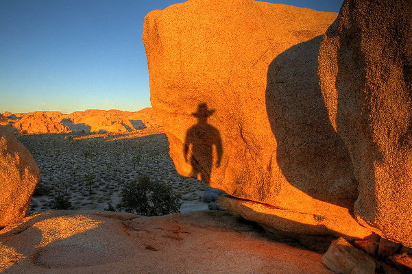 Joshua Tree