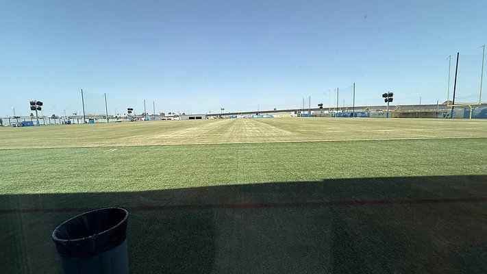 IMG 7339