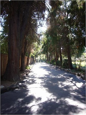 0aDscn 002 0aDscn 002