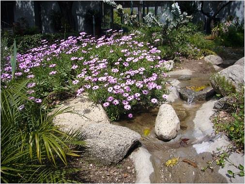 8adscn 057 8adscn 057