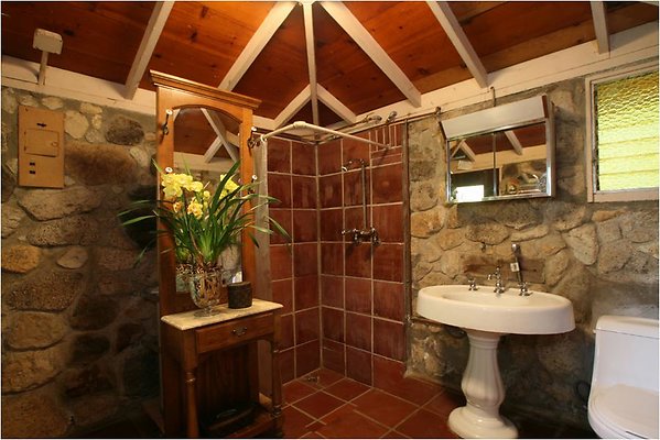 6cdscn 051 6cdscn 051