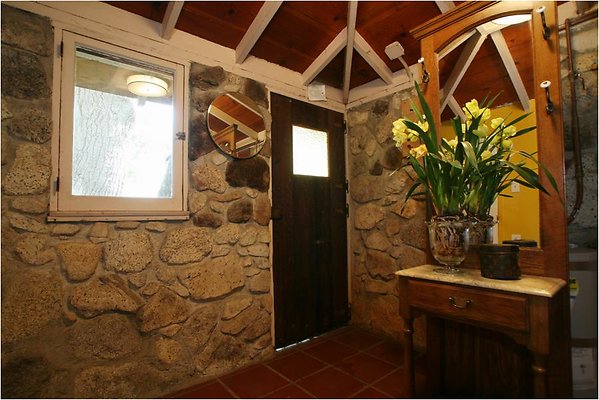 6cdscn 050 6cdscn 050