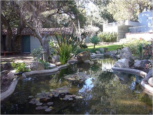 8adscn 056 8adscn 056