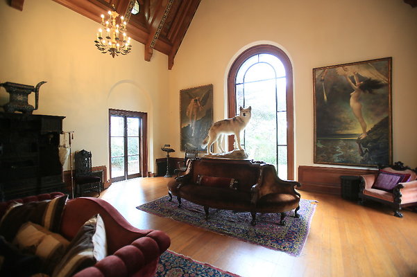 The Paramour - Silverlake