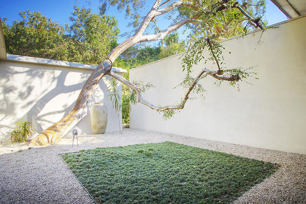  MG 4161 2 3Enhancer.jpg