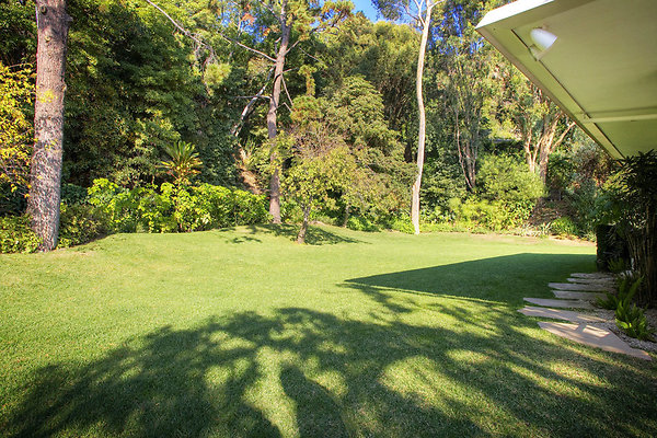  MG 4035 6 7Enhancer.jpg