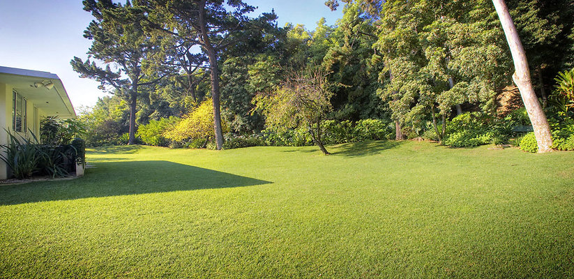 Untitled Panorama4.jpg