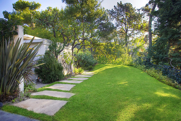  MG 4110 1 2Enhancer.jpg