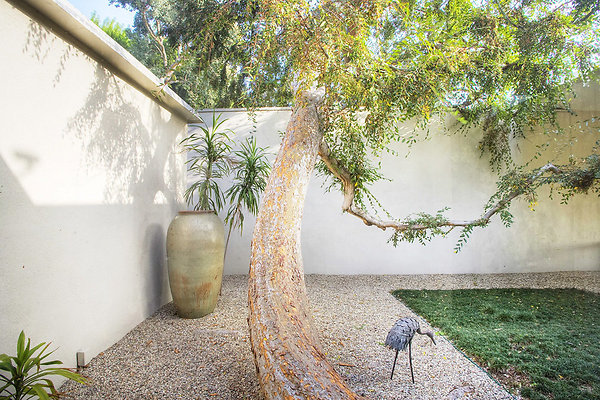  MG 3077 8 9Enhancer.jpg