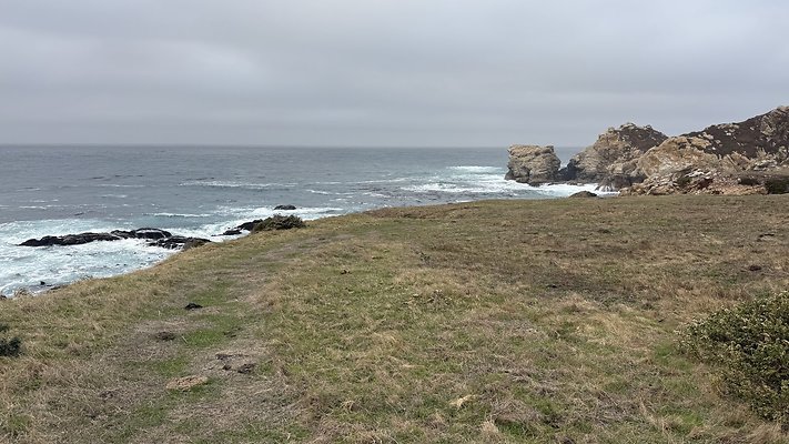 IMG 8431 3 IMG 8431 3